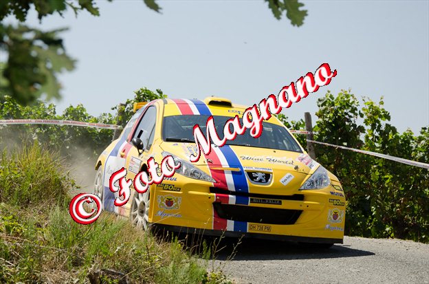 DSC_7553.jpg